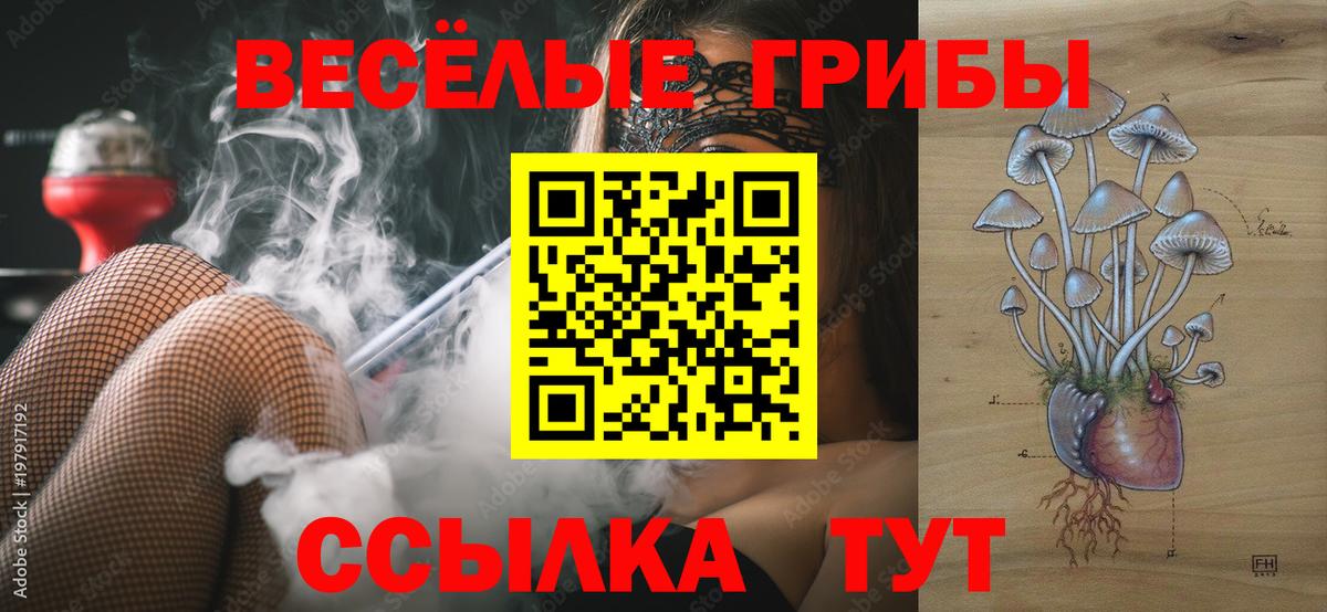Галлюциногенные грибы Psilocybine cubensis  Вход с VPN  Заволжье  Галлюциногенные грибы Cubensis 
