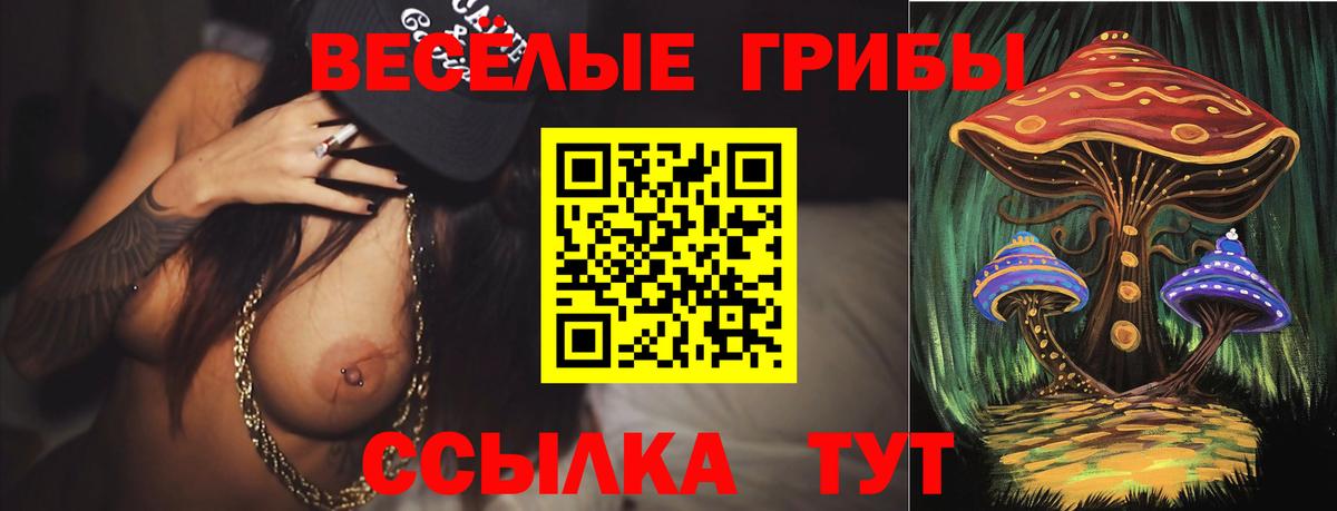 Псилоцибиновые грибы Psilocybe Заволжье